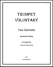 Trumpet Voluntary